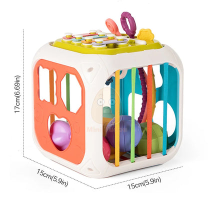 Cubes d'activités Montessori pour bébés a partir d'un an Paradis Rigolo